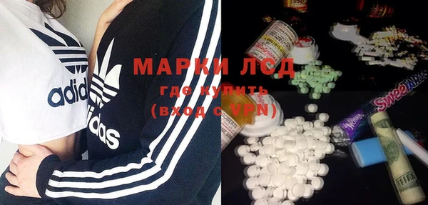 ECSTASY Алзамай
